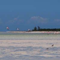 Isla Holbox