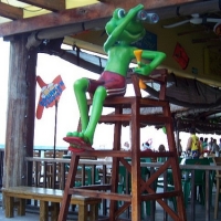 Senor Frogs Playa del Carmen