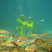 Aquaworld Cancun