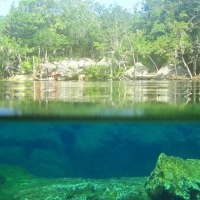Cenote Xperience