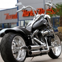 Harley Davidson Cancun