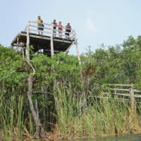 Yalahau Cenote in Holbox 
