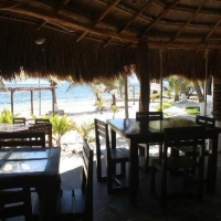 Fusion Restaurant & Beach Bar