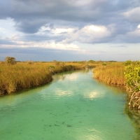 Mayan Canal 