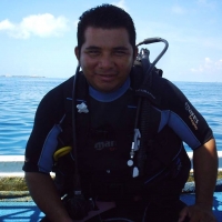 Enrique's Unique Dives