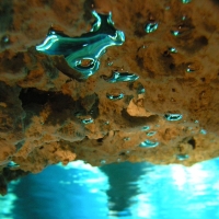 Diving Cenotes Tulum