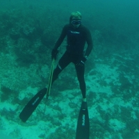 Spearfishing Today