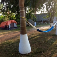 Yaxche Centro Hostel and Camping 