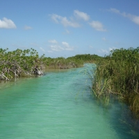 Mayan Canal 