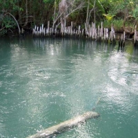 Yalahau Lagoon 