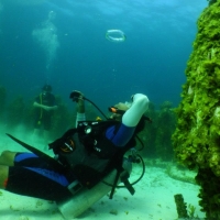 Scuba Diving Cancun
