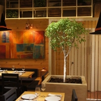 Nau Restaurant