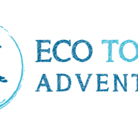 Eco Tours Adventure - Wildlife Encounters in Cancun Mexico