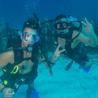 Coconut Divers
