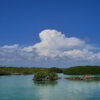 Campechen Lagoon