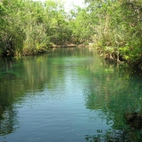 Cenote Escondido