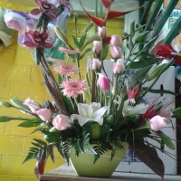 Lily Flowers Florist