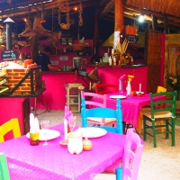restaurants in playa del carmen