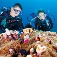 Reef Quest Divers