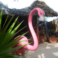 Flamingos Restaurant