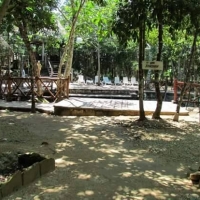 Zazil Ha Cenote