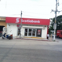 Scotianbank Tulum