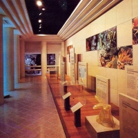 Museum Of Cozumel Island