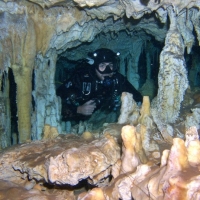 Halocline Diving