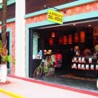 Bodeguita del Medio Playa del Carmen