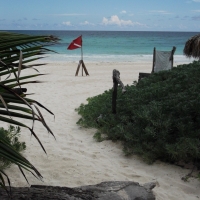 Beach Front Dive Tulum