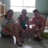 Cocos Cat Rescue