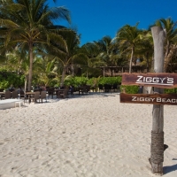 Ziggy's Restaurant & Beach Club