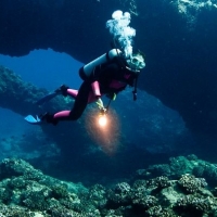 Reef Quest Divers