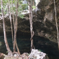 Cenote Xperience