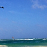 Ocean Pro Kite
