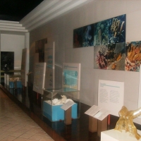Museum Of Cozumel Island