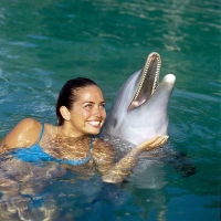 Swim with Dolphins Riviera Maya