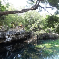 Cenote el Eden - Ponderosa