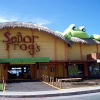 Senor Frogs Cancun