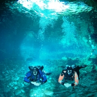Maya Diving