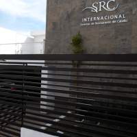 SRC Sistema de Restauracion de Cabello