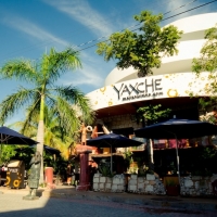 Yaxche Playa del Carmen Restaurant