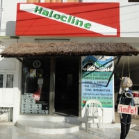 Halocline Diving