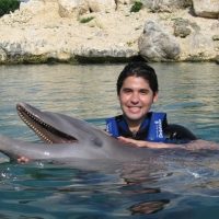 Delphinus Cancun