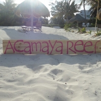 Acamaya Reef Cabanas & Beach Bar