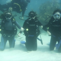 Wet Set Diving Adventures