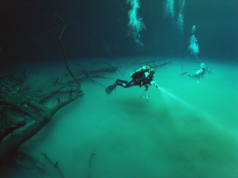 Angelita cenote diving