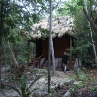 Caracol Cenote Tulum