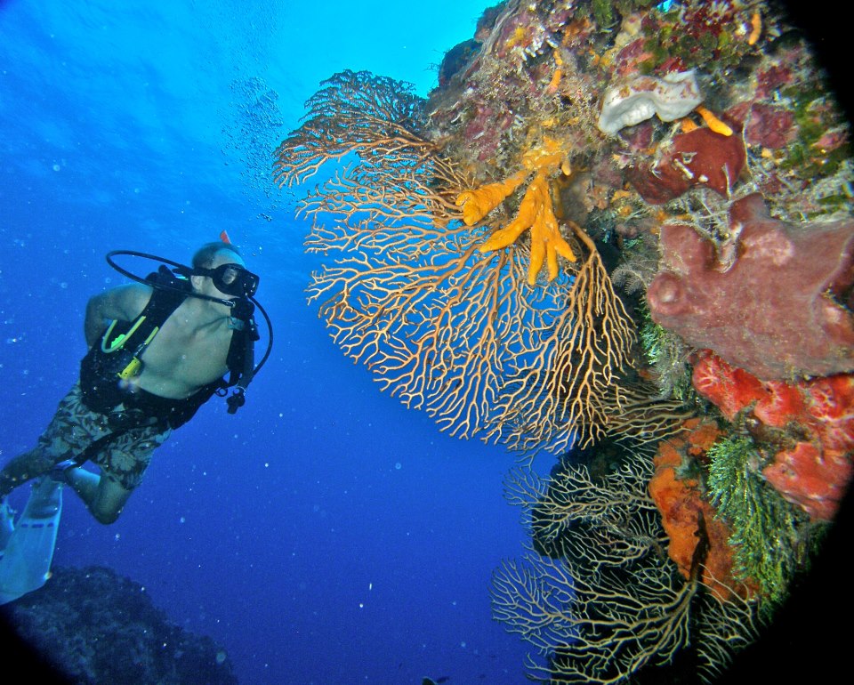 Scuba Du Cozumel Mexico Address and Map