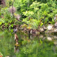 cenote riviera maya